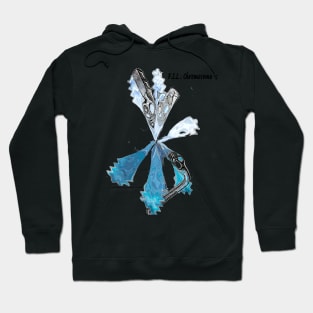 F.I.L. Chromosome Hoodie